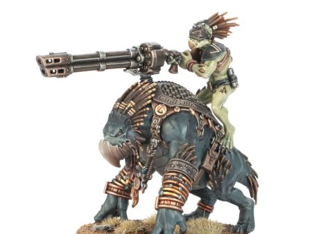 Tau Empire: Krootox Rider For Cheap